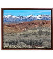 Framed Print Utah Canyonlands National Park Snowy Mountains and Red Rock Print 16 by 20 and other variants