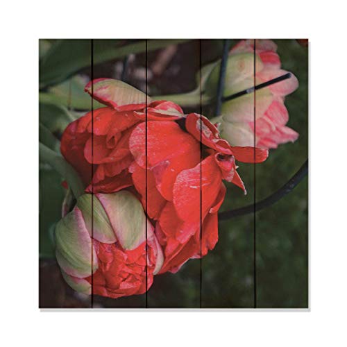 Montana Mottly Photos Red Rose Photo Picture Wall Hanging 17 by 17 Wile E. Wood Art™ …