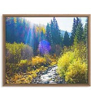 Framed Print Fall Creek Sun Ray Print 16 by 20 and other variants