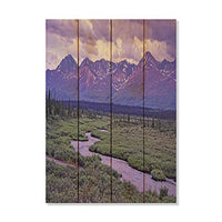 Purple Mountains Majesty Alaska Mountains Photo Picture Wall Hanging 14 by 20 Wile E. Wood Art™ …