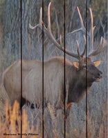 Lodge Bull Elk Wildlife Photo Picture Wall Hanging Cedar Board Gizaun Art. Wood Art™ 33x24