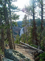 Yellowstone Falls Yellowstone National Park canvas or Choice of Print