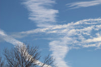 Choice of Print of Montana Blue Sky with Jet Streams Crossing